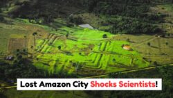 12,000-Year-Old Lost City Found in Amazon Jungle – Experts Say It Could Rewrite Human History!