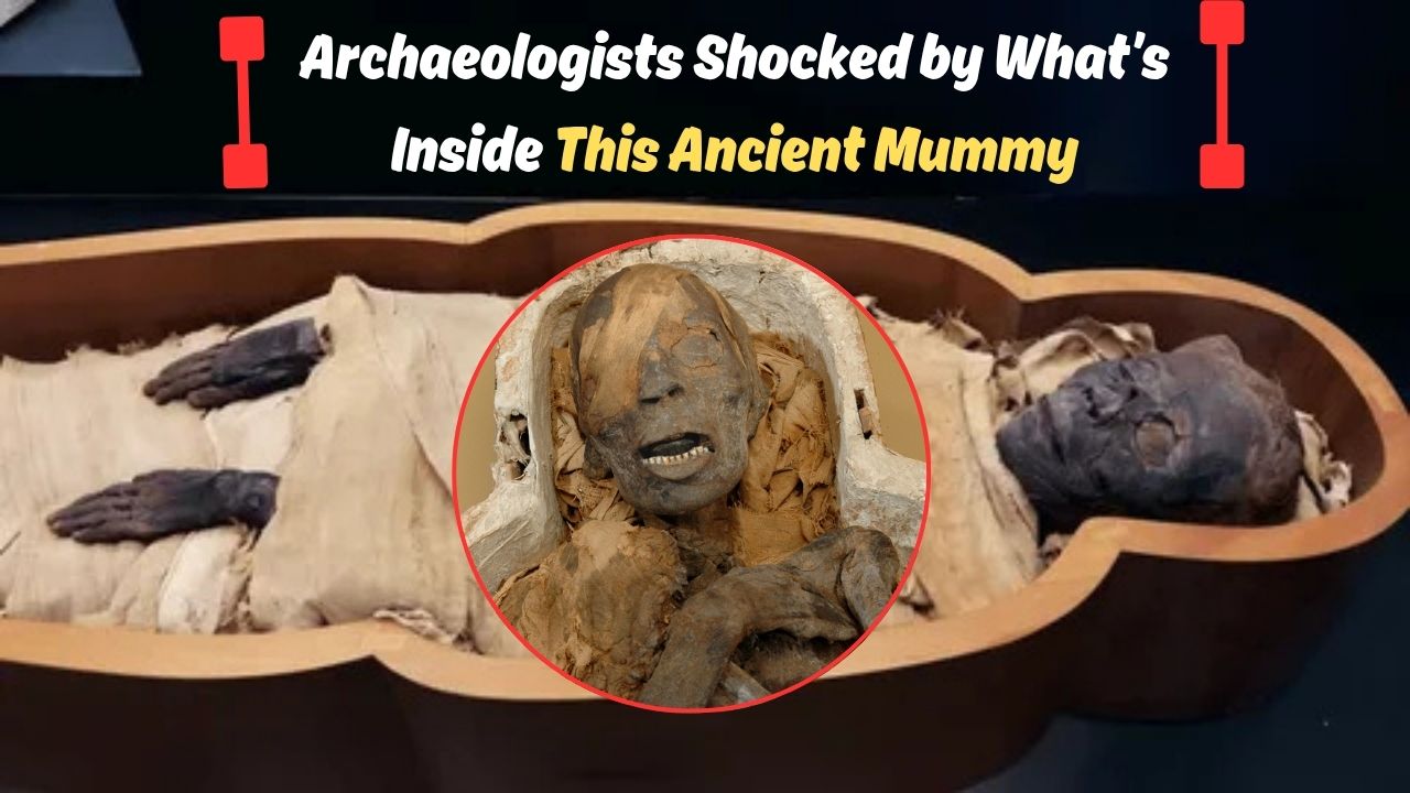 2500-Year-Old Mummy