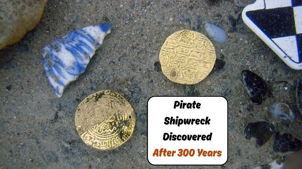 300-Year-Old Shipwreck
