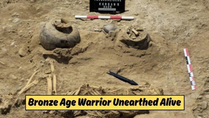 3800-Year-Old Azerbaijan Kurgan