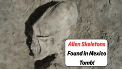 Alien-Like Skeletons Worth Millions Found in Mexican Tomb – Archaeologists Stunned!