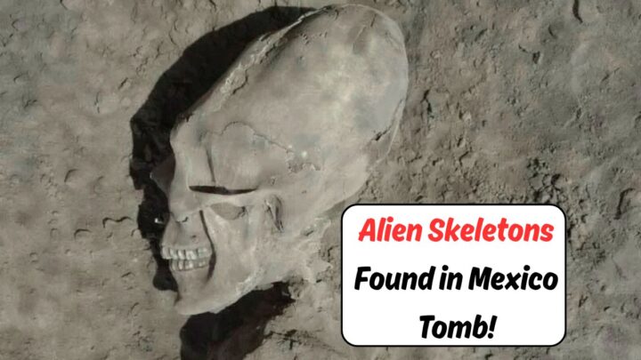 Alien-Like Skeletons
