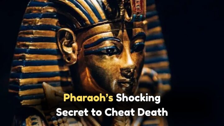 Ancient Pharaoh