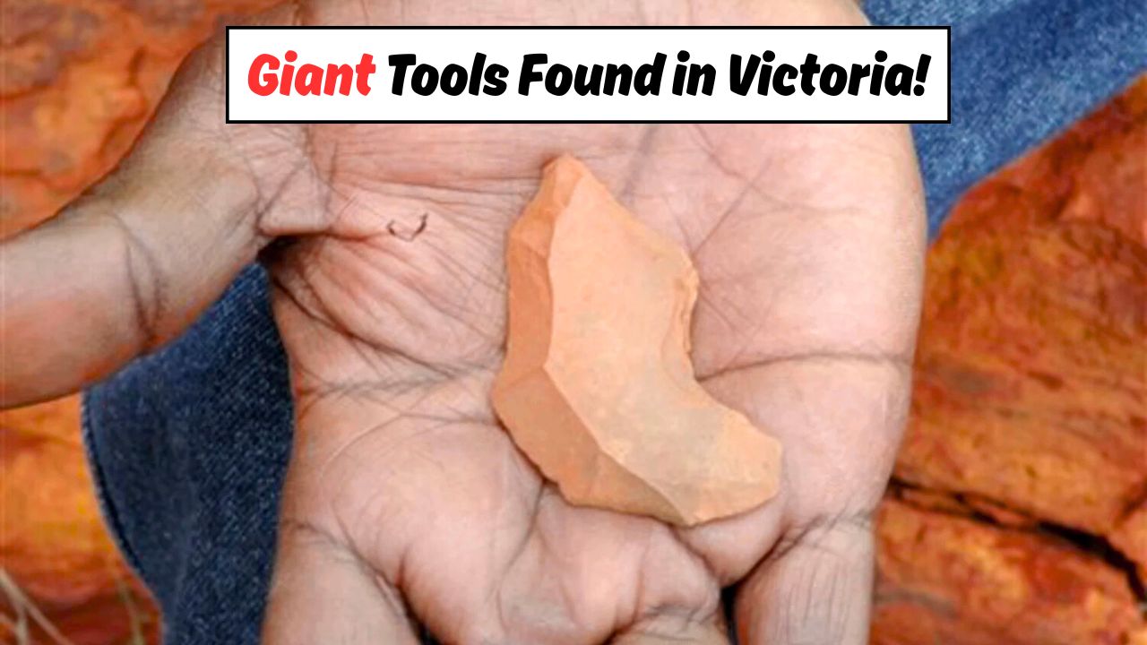 Archaeologists Uncover Giant Tools
