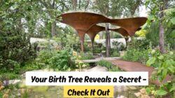 What’s Your Birth Month Tree? Discover Its Deep Symbolism and Learn How to Grow It at Home