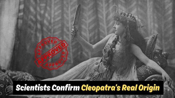 Cleopatra