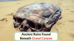 Shocking Discovery Beneath the Grand Canyon: Did an Ancient Civilization Beat Columbus to America?
