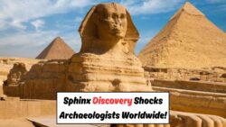 Secrets Under the Sphinx: What Archaeologists Found Is So Controversial, They Tried to Cover It Up!