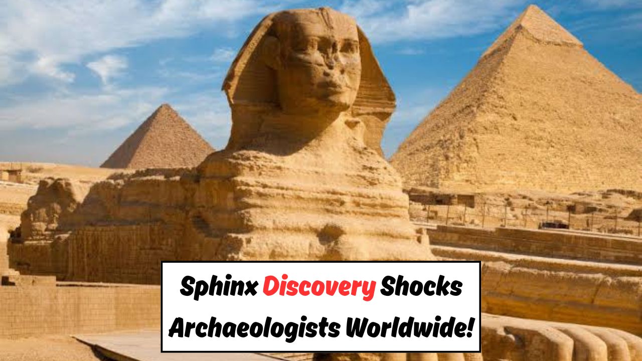 Sphinx Secrets