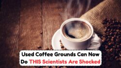 Scientists Just Found a Surprising New Use for Used Coffee Grounds