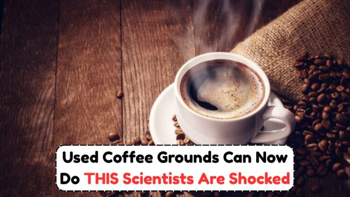 Used Coffee Grounds