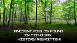 Ancient Raised Fields in Michigan Expose 1,000-Year-Old Native Farming Network—Rewrites What We Thought We Knew!