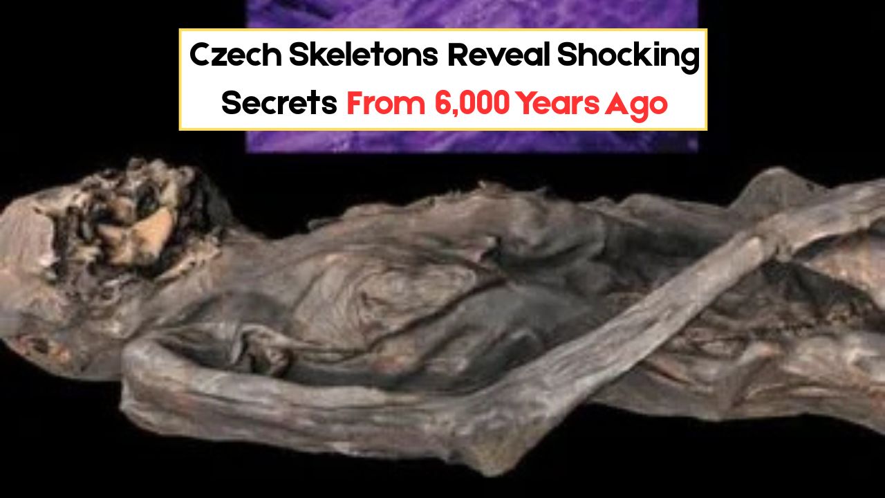 6000‑Year‑Old Czech Skeletons