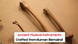 800‑Year‑Old Human Bones Turned Into Musical Instruments Discovered in South Texas—Aztec‑Era Ritual Tools Unearthed