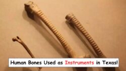 800-Year-Old Human Bones Turned Into Musical Instruments Found Along South Texas Coast—Aztec Ritual Mystery Unveiled