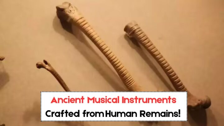 800‑Year‑Old Human Bones