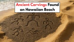 Beach Sands Shift to Reveal Ancient Hawaiian Petroglyphs—Hidden Native Carvings Rediscovered on Oʻahu Shorelines!