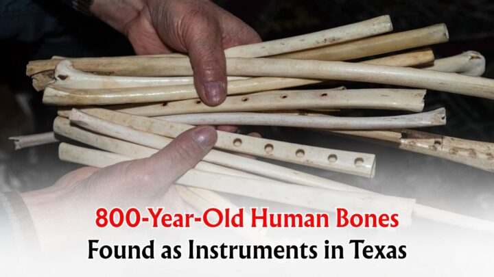 Old Human Bones